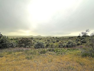 Terreno en venta en Molar (El)