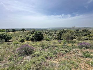 Terreno en venta en Molar (El)