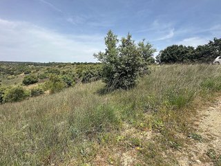 Terreno en venta en Molar (El)