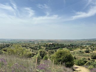 Terreno en venta en Molar (El)
