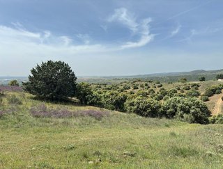 Terreno en venta en Molar (El)