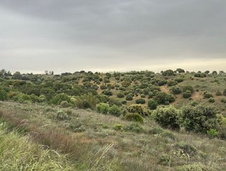 Terreno en venta en Molar (El)