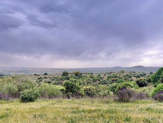 Terreno en venta en Molar (El)