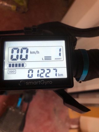 Patinete Eléctrico SmartGyro Rockway