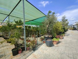 Solar en venta en Esparreguera
