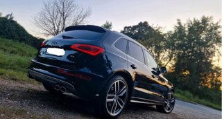 Audi SQ5 2013