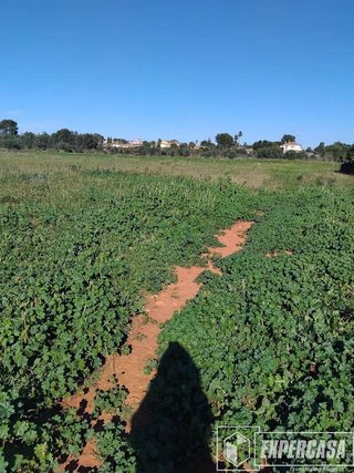 Terreno en venta en Centro Ciudad en Manises