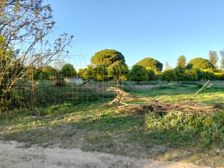 Parcela en Marchena