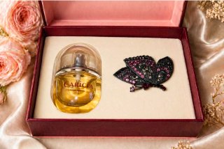 Set Caricia Perfume y Broche Mariposa