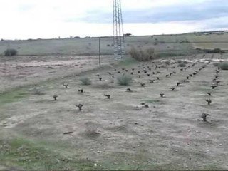 Terreno en venta en El Pinar - La Dehesa - Resto de Navalcarnero en Navalcarnero