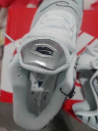 Zapatillas Nike Air Max Plus Blancas/Plata