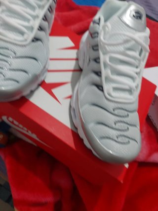 Zapatillas Nike Air Max Plus Blancas/Plata