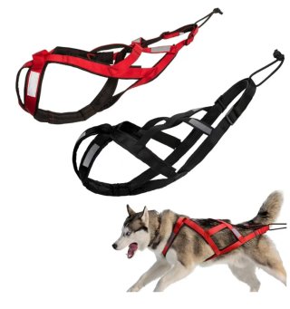 Arnés para perros L,