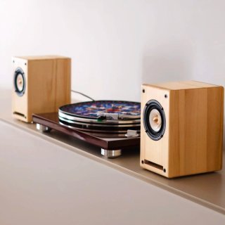 Diffusori HiFi in legno massello