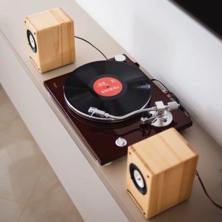 Diffusori HiFi in legno massello