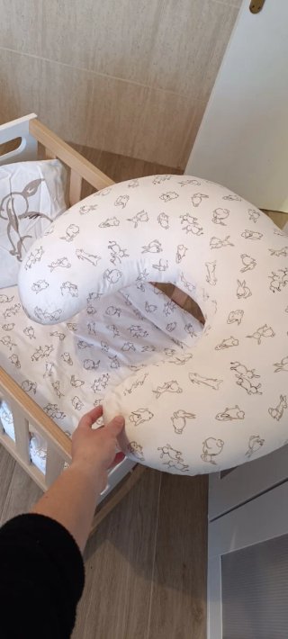 Mini Cuna colecho