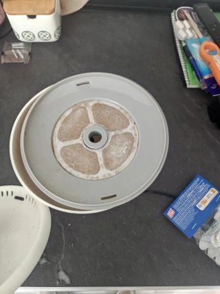 Bebedero Fuente para Gatos