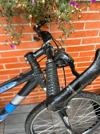 Bicicleta Orbea Shake Di Terzo