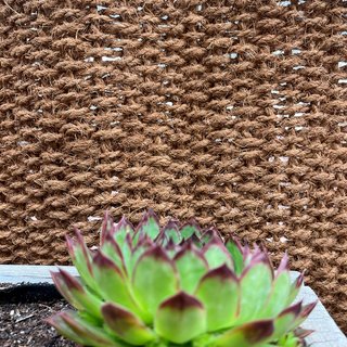 Tappeto/barriera in fibra di cocco 1m x 3m per interni/esterni