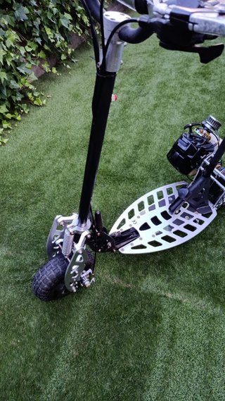 Patin Raicol Pro