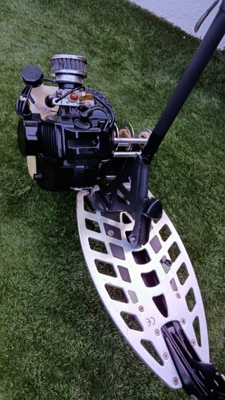 Patin Raicol Pro