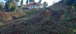 DESBROCES URGENTES – Limpieza de parcelas y fincas