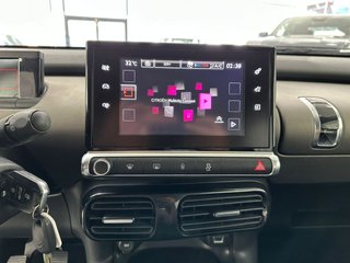 CITROEN C4 Cactus BlueHDi 73KW 100CV Business