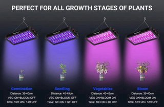 2 Luz LED Cultivo Plantas DragonLight