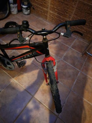 Bicicleta Xtrail 20