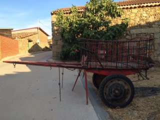 Carro Valenciano con correaje