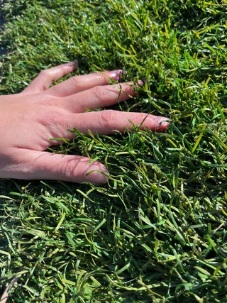 Césped artificial reciclado