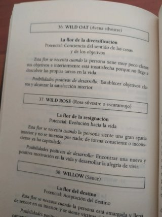 Las flores de Bach, preguntas y respuestas