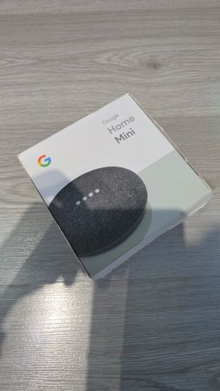 Google Home Mini Gris