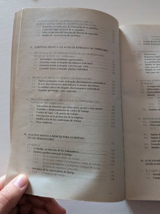 Guía jurídica del delegado sindical derechos y ...