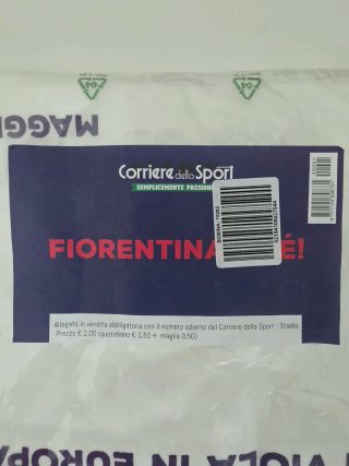 Maglietta Fiorentina ALÉ! Gildan