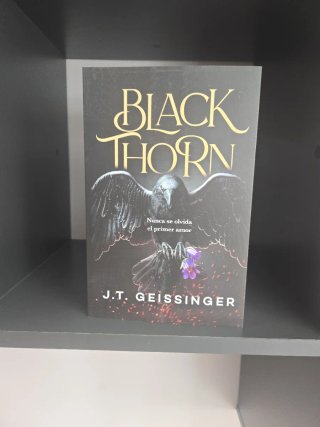 Blackthorn: Cómo los perros sin hogar me enseña...