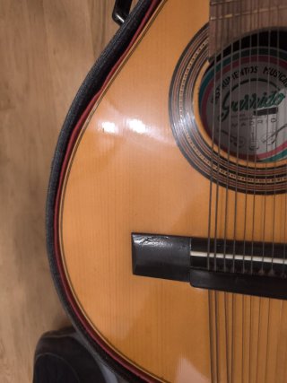 Bandurria Garrido Madrid con funda rígida