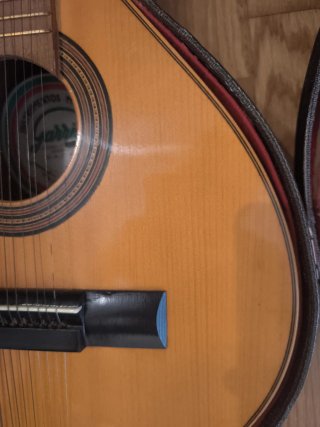 Bandurria Garrido Madrid con funda rígida