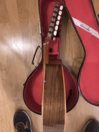 Bandurria Garrido Madrid con funda rígida