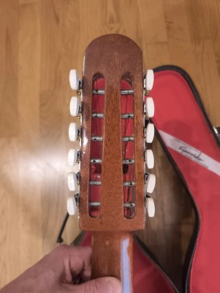 Bandurria Garrido Madrid con funda rígida