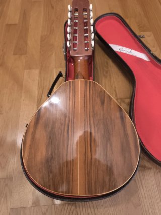 Bandurria Garrido Madrid con funda rígida
