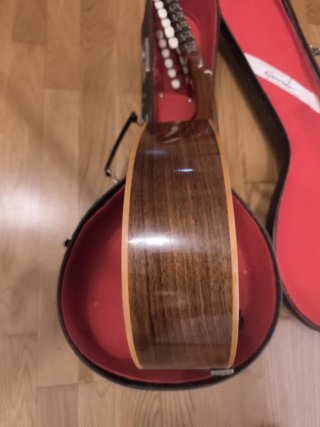 Bandurria Garrido Madrid con funda rígida
