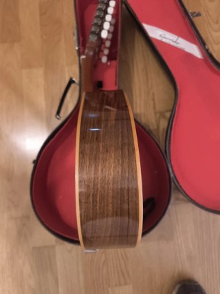 Bandurria Garrido Madrid con funda rígida