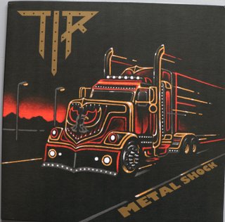 Lote 8 LPs Heavy Metal