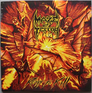 Lote 8 LPs Heavy Metal