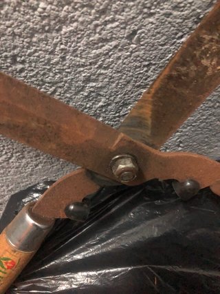Tijeras de podar y palo de madera