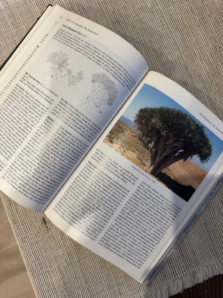 Árboles y arbustos Península Ibérica Tomo II Libro