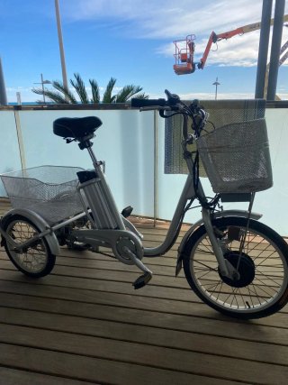 Bicicleta eléctrica 3 ruedas con cesta