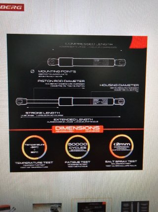 Ammortizzatore cofano bagagli Frankberg 5481FB0047