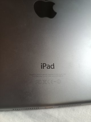 Apple iPad Gris